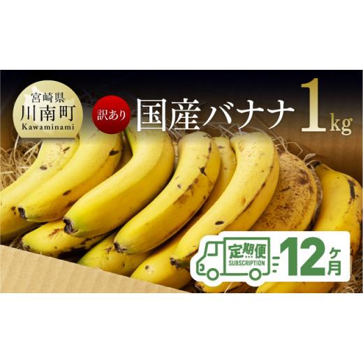 ふるさと納税 果物類 宮崎県 川南町  訳あり 国産バナナ １ｋｇ 12ヶ月定期便 国産 バナナ 無農薬 フルーツ 果物 デザート 朝食 スムージー 宮崎県産 川南町 …_1