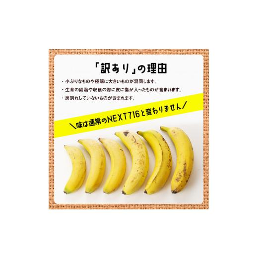 ふるさと納税 果物類 宮崎県 川南町  訳あり 国産バナナ １ｋｇ 12ヶ月定期便 国産 バナナ 無農薬 フルーツ 果物 デザート 朝食 スムージー 宮崎県産 川南町 …_3