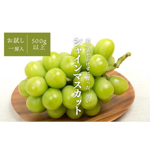 ふるさと納税 ぶどう マスカット 岡山県 真庭市 KF-B008-01 きよとうファーム シャインマスカット 1房入 /500g以上 (岡山県産)