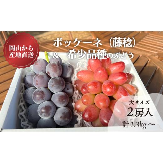 ふるさと納税 果物類 ぶどう 岡山県 真庭市 KF-B004-02 きよとうファーム 藤稔と赤色葡萄の特大2房入/計1.3kg~ (岡山県産)