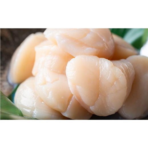 ふるさと納税 魚貝類 ホタテ 北海道 釧路市 北海道産・お刺身用ホタテ玉冷凍 L 500g ふるさと納税 ほたて 帆立 F4F-7826_3