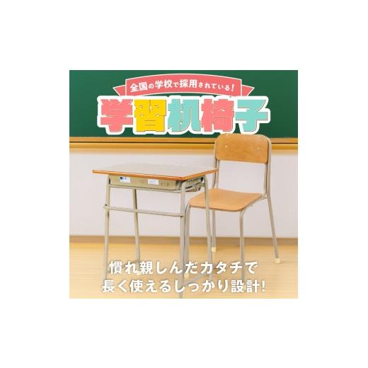 ふるさと納税 家具 福岡県 久留米市 学習用固定式机椅子セット_学習用