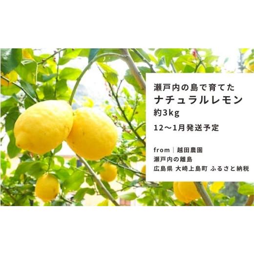 ふるさと納税 みかん・柑橘類 レモン 広島県 大崎上島町 予約 12〜1月発送 瀬戸内の島で育てた 広島 レモン 約3kg 越田農園 国産 大崎上島 離島 クエン酸 ビ…