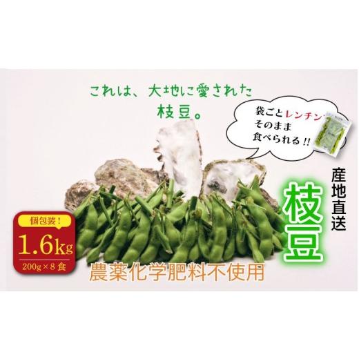 ふるさと納税 豆類 枝豆 静岡県 牧之原市 そのままレンチン 枝豆 1.6kg 農薬不使用 個包装 200g × 8食分 野菜 えだまめ エダマメ 豆 まめ おつまみ やさい …