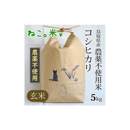 ふるさと納税 鳥取県 倉吉市 農薬不使用米 コシヒカリ 玄米(5kg)