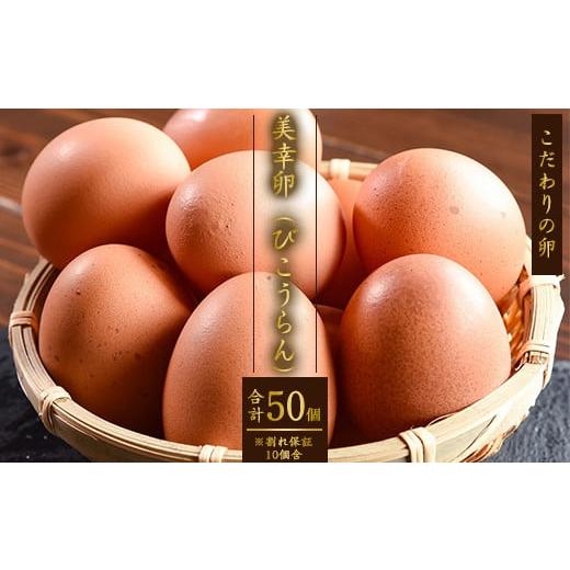 ふるさと納税 卵(鶏、烏骨鶏等) 山形県 寒河江市 2025年12月10日頃発送分 濃厚たまご 「美幸卵」 計50個 (割れ保証10個含む)山形産 配送不可 沖縄・離島 …