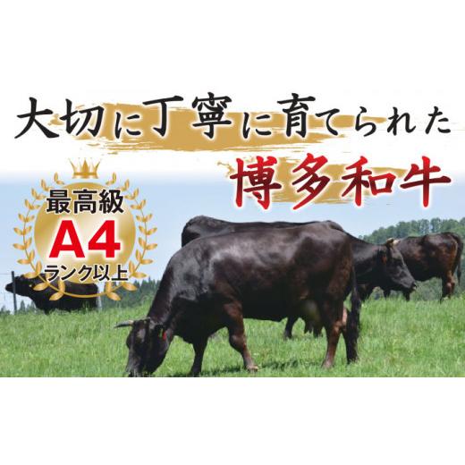 ふるさと納税 福岡県 那珂川市 【全3回定期便】【たっぷり大容量！】博多和牛 切り落とし 1000g（500g×2P）＜株式会社MEAT PLUS＞那珂川市 [GBW013]｜furusatochoice｜03