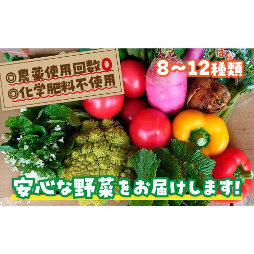 ふるさと納税 セット・詰合せ 山口県 山口市 D116 安心野菜ボックス