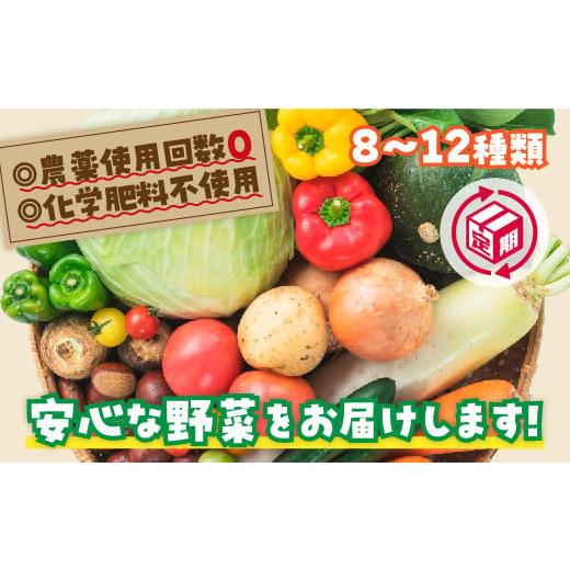 ふるさと納税 セット・詰合せ 山口県 山口市 A034 安心お野菜定期便(12回コース)
