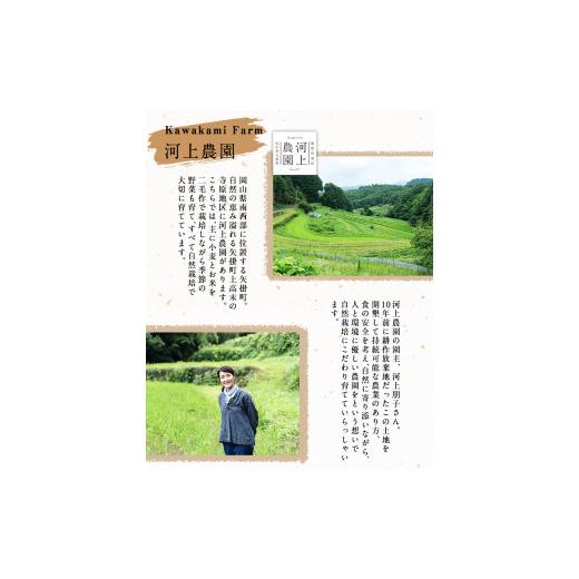 ふるさと納税 岡山県 矢掛町 令和5年産 無肥料栽培ササニシキ 玄米 5kg(5kg×1袋) 河上農園 岡山県矢掛町《30日以内に順次出荷(土日祝除く)》 農薬・化学肥料… 土日祝除く