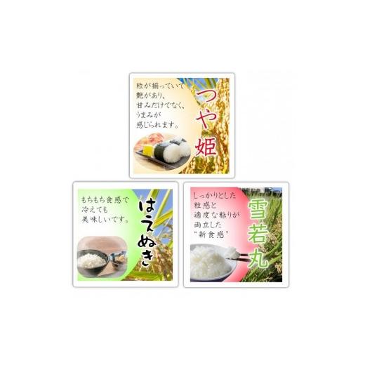 ふるさと納税 山形県 中山町 【2024年産先行受付】山形県中山町産3銘柄米（つや姫・雪若丸・はえぬき）食べくらべセット　新米（精米）合計6kg（2kg×3）｜furusatochoice｜04