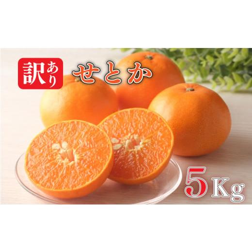 ふるさと納税 みかん・柑橘類 愛媛県 松山市 訳あり せとか 約5kg 柑橘 みかん 訳あり 愛媛県 松山市 オススメのせとか 訳ありみかん 愛媛県産せとか 柑橘 訳…