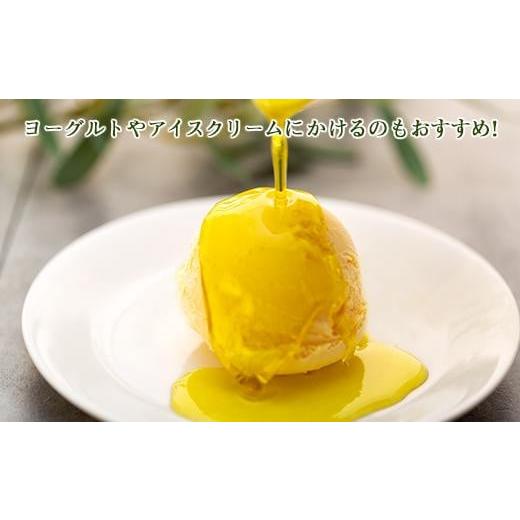 ふるさと納税 食用油 オリーブオイル 香川県 小豆島町  ギフト用 エキストラバージンオリーブオイル EV-2