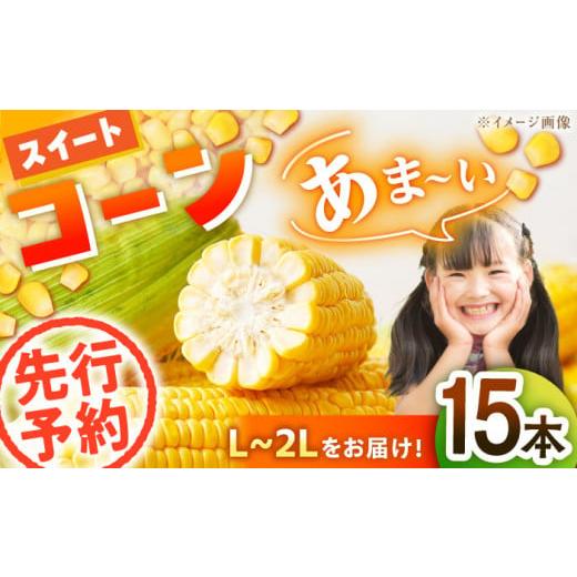 ふるさと納税 とうもろこし 愛媛県 大洲市 とうもろこし 先行予約 6月上旬より順次発送 スイートコーン (L〜2Lサイズ)12本入り 愛媛県大洲市/沢井青果 AGBN…