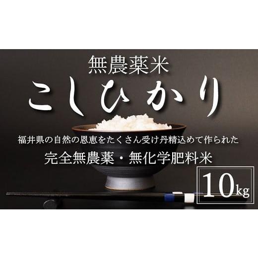 ふるさと納税 米 コシヒカリ 福井県 越前市 [令和7年産]無農薬米10kg(5kg×2) こしひかり 白米 白米