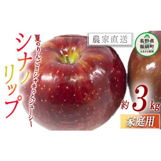 ふるさと納税 りんご 長野県 飯綱町 りんご シナノリップ 家庭用 3kg 松橋りんご園 沖縄県への配送不可 2026年8月中旬頃から2026年8月下旬頃まで順次発送予定 …