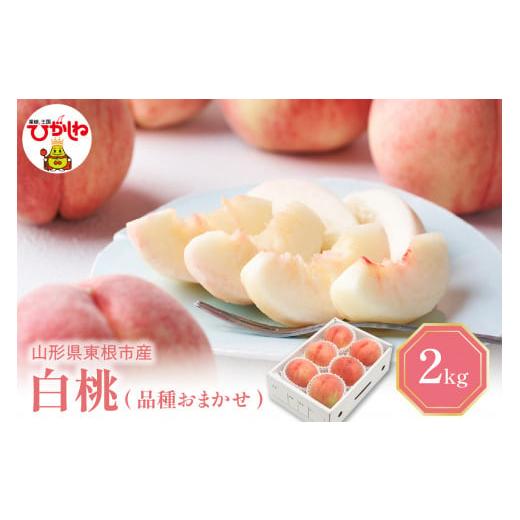 ふるさと納税 もも 山形県 東根市 2026年産 先行予約 白桃 (品種おまかせ) 2kg 秀品 化粧箱入り 東根農産センター提供 山形県 東根市 hi027-257 白桃 2kg