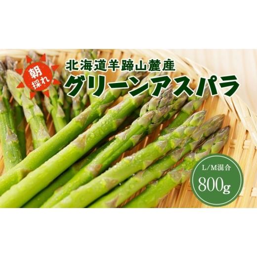 ふるさと納税 野菜類 アスパラガス 北海道 倶知安町 北海道 グリーンアスパラガス 約800g M-L サイズ混合 アスパラガス アスパラ 朝採れ 採れたて 新鮮 野菜 …