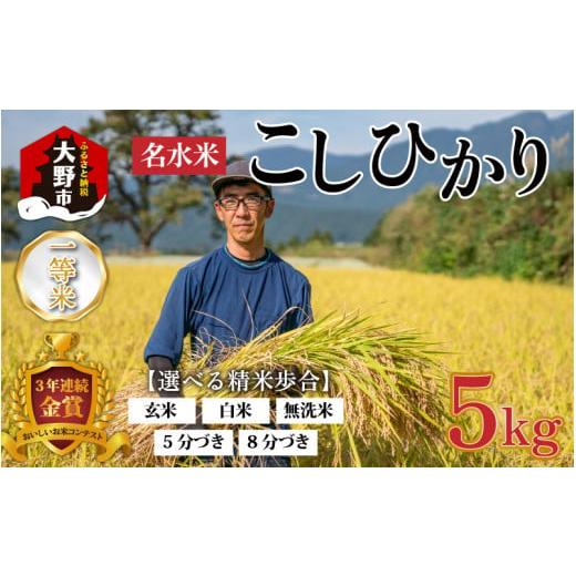 ふるさと納税 米 コシヒカリ 福井県 大野市 令和7年産 新米 越前大野産 一等米 帰山農園の棚田育ちコシヒカリ (白米) 5kg × 1袋 白米
