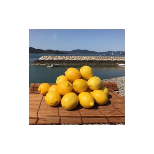 ふるさと納税 愛媛県 上島町 青いレモンの島 国産レモン約3kg(冷蔵便発送)※サイズはS玉〜2L玉のいずれかもしくは混載