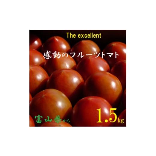 ふるさと納税 富山県 小矢部市 フルーツトマト(深層水トマト)1.5キロ