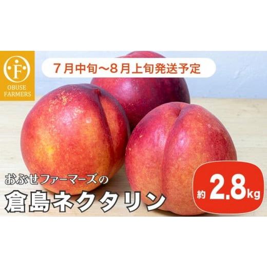 ふるさと納税 もも 長野県 小布施町 長野産 倉島ネクタリン 約2.8kg [おぶせファーマーズ]先行予約 ネクタリン 果物 フルーツ 冷蔵便 クール便 長野県産 信…