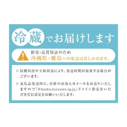 ふるさと納税 ぶどう マスカット 山梨県 甲州市 クール配送 加温ハウス サンシャインレッド シャインマスカット 合計1.2kg以上 2026年発送 （MS）D-162 サンシ…の画像