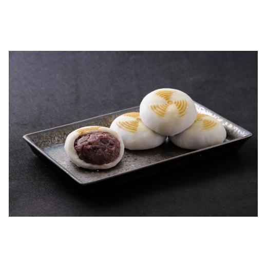 ふるさと納税 和菓子 もち菓子 岐阜県 各務原市 113 餅信　飛行機餅_1