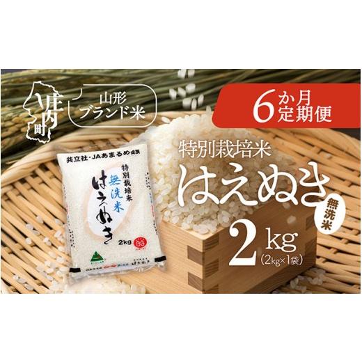 ふるさと納税 無洗米 山形県 庄内町  5月中旬発送 庄内米6か月定期便 特別栽培米 はえぬき 無洗米 2kg 入金期限：2026.4.25 特栽 ブランド米 米 国産 単一原料…の画像