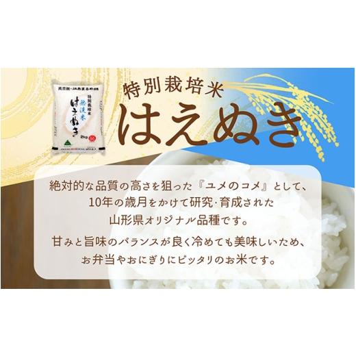 ふるさと納税 無洗米 山形県 庄内町  5月中旬発送 庄内米6か月定期便 特別栽培米 はえぬき 無洗米 2kg 入金期限：2026.4.25 特栽 ブランド米 米 国産 単一原料…の画像