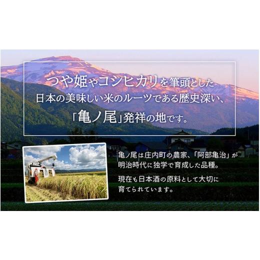ふるさと納税 無洗米 山形県 庄内町  5月中旬発送 庄内米6か月定期便 特別栽培米 はえぬき 無洗米 2kg 入金期限：2026.4.25 特栽 ブランド米 米 国産 単一原料…の画像