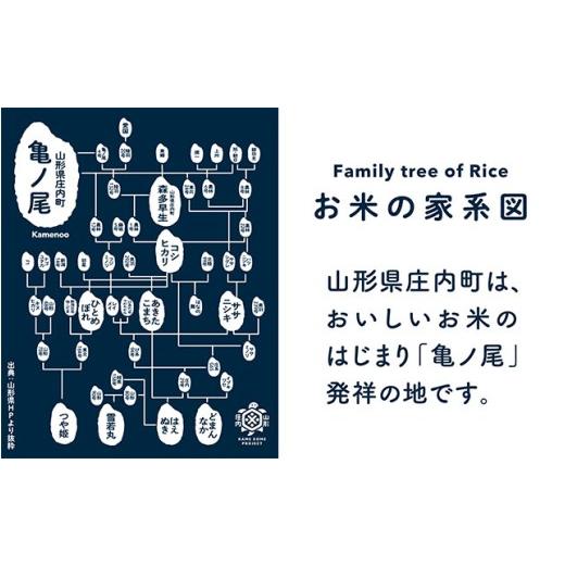 ふるさと納税 無洗米 山形県 庄内町  5月中旬発送 庄内米6か月定期便 特別栽培米 はえぬき 無洗米 2kg 入金期限：2026.4.25 特栽 ブランド米 米 国産 単一原料…の画像