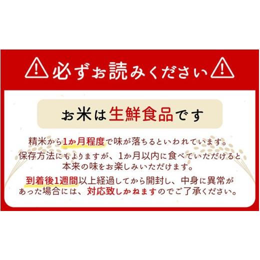 ふるさと納税 無洗米 山形県 庄内町  5月中旬発送 山形米6か月定期便 雪若丸 無洗米 2kg 入金期限：2026.4.25 ブランド米 米 国産 単一原料米 山形 庄内平野 …の画像