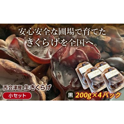 ふるさと納税 野菜類 きのこ 福島県 西会津町 [期間限定]西会津産 生きくらげ 小セット (黒200g×4パック) 完全無農薬 生 きくらげ 木耳 キクラゲ 国産 おつ…