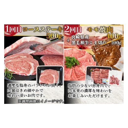 ふるさと納税 宮崎県 国富町 ＜6か月定期便 宮崎牛焼肉・ステーキ 食べ比べコース＞2か月以内に第一回目発送｜furusatochoice｜06