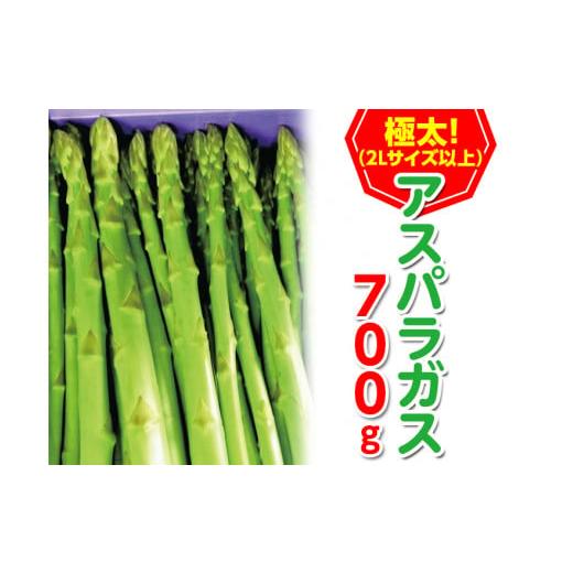 ふるさと納税 野菜類 アスパラガス 香川県 まんのう町 期間限定 2025年2月下旬以降順次発送予定 極太 アスパラガス(約700g・2Lサイズ以上) man096 Aglio nero…