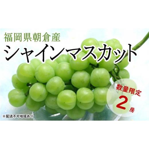 ふるさと納税 ぶどう マスカット 福岡県 朝倉市 シャインマスカット 2房 化粧箱（約1〜1.2kg） (有)ティース 配送不可：沖縄・離島 果物類 ぶどう ブドウ フル…の画像
