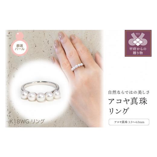ふるさと納税 アクセサリー リング 山梨県 甲府市 サイズ：12号 〈 甲府ジュエリー 〉K18WG　アコヤ真珠　リング(#1：03013109) サイズ：12号_1