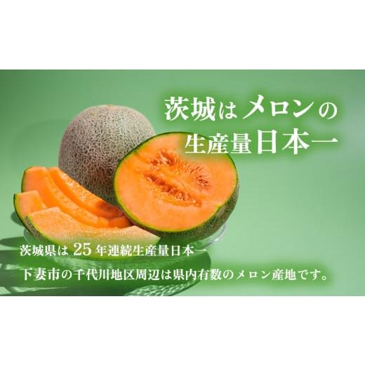 ふるさと納税 メロン メロン赤肉 茨城県 下妻市 先行予約 茨城県