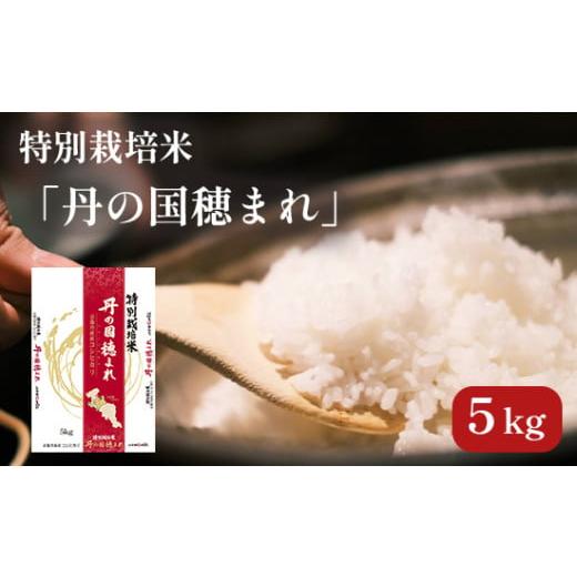 ふるさと納税 京都府 舞鶴市 特別栽培米 コシヒカリ 丹の国穂まれ 精米 5kg