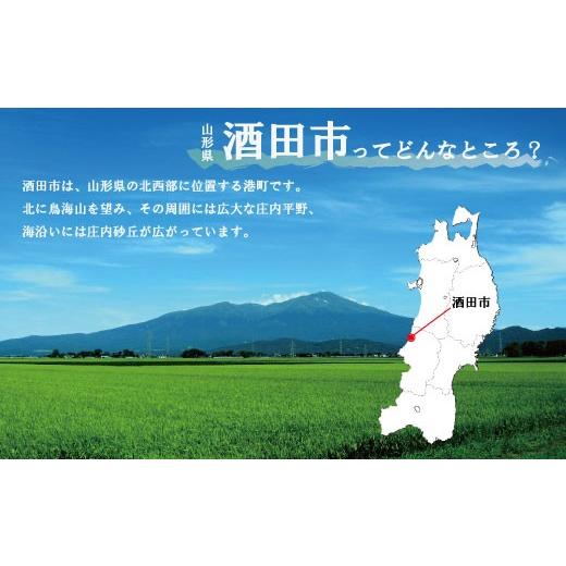 ふるさと納税 御菓子 スポンジケーキ 円錐小体県 酒田市 お米のスポンジケーキ 3個(飾り気の無い) SA2654