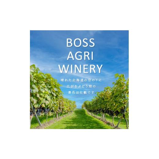 ふるさと納税 北海道 北見市 北見産ぶどう100％のワイン 桜夢雫 緋色ロゼ ( ワイン 国産 ブドウ ロゼ 辛口 750ml )【075-0002】 緋色ロゼ 750ml