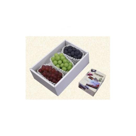 ふるさと納税 果物類 ぶどう 山梨県 山梨市 3色詰合せ(3房)/80 1300130