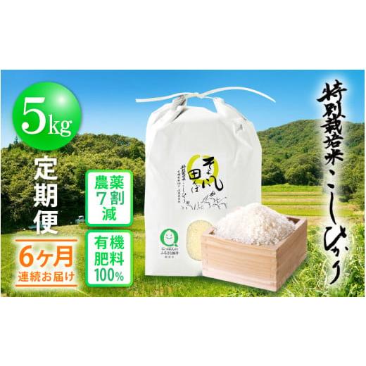 ふるさと納税 米 コシヒカリ 福井県 越前町 新米 令和7年産 米 定期便 6ヶ月連続お届け 特別栽培米 コシヒカリ 5kg × 6回 福井県産米(有機肥料100% 農薬7割…