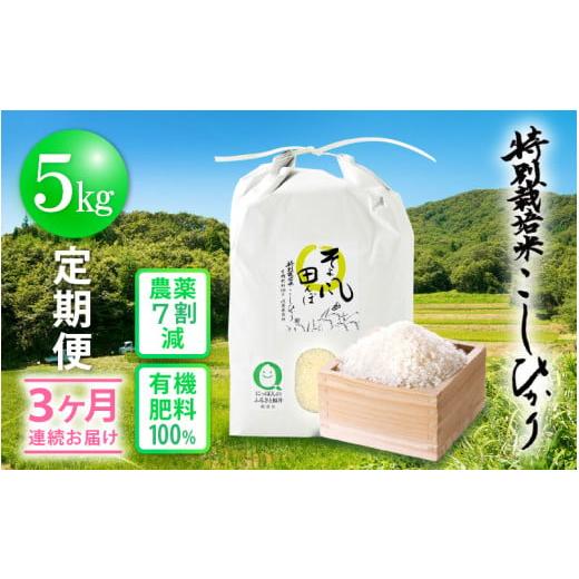 ふるさと納税 米 コシヒカリ 福井県 越前町 新米 令和7年産 米 定期便 3ヶ月連続お届け 特別栽培米 コシヒカリ 5kg × 3回 福井県産米(有機肥料100% 農薬7割…