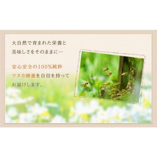 ふるさと納税 加工品等 はちみつ 福岡県 八女市 かの蜂 マヌカハニー 540g（270g×2本）マヌカ はちみつ  エコパックはちみつ90g付き はちみつ 蜂蜜 ハチミツ…の画像