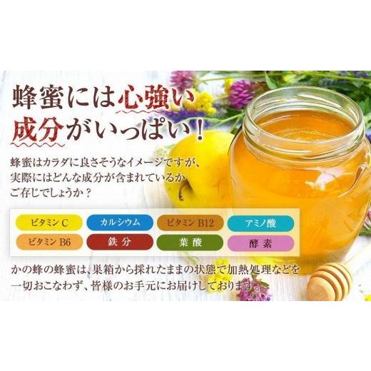 ふるさと納税 加工品等 はちみつ 福岡県 八女市 かの蜂 国産 百花蜂蜜 2kg（とんがり容器500g×4本）純粋はちみつ 蜂蜜 はちみつ ハチミツ 保存食 防災グッズ …の画像