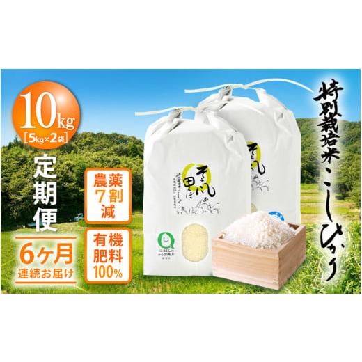 ふるさと納税 米 コシヒカリ 福井県 越前町 新米 令和7年産 米 定期便 6ヶ月連続お届け 特別栽培米 コシヒカリ 10kg × 6回 福井県産米(有機肥料100% 農薬7割…