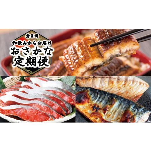 【限定品】 ふるさと納税 和歌山県 串本町 【全3回定期便】和歌山からお届け おさかな定期便　サバ・ウナギ・サケ 【BCD9084784206】(32000円)