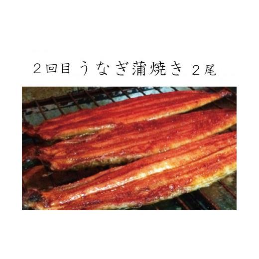 【限定品】 ふるさと納税 和歌山県 串本町 【全3回定期便】和歌山からお届け おさかな定期便　サバ・ウナギ・サケ 【BCD9084784206】(32000円)